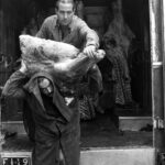 Gallery_Dematteis_40x50_selezione60
