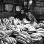 Gallery_Dematteis_40x50_selezione66